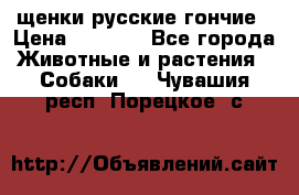 щенки русские гончие › Цена ­ 4 000 - Все города Животные и растения » Собаки   . Чувашия респ.,Порецкое. с.